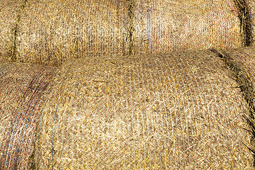 Image showing stacks of golden fresh straw s
