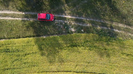 Image showing Car drives on the road between two big fields with green wheat. Agriculture landscape.