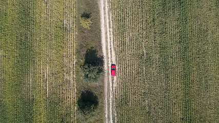 Image showing Car drives on the road between two big fields with green wheat. Agriculture landscape.