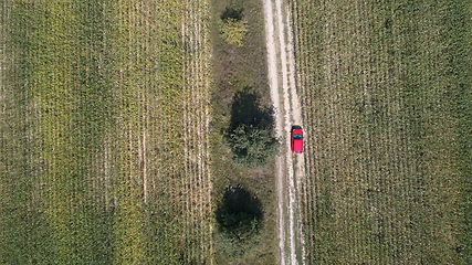 Image showing Car drives on the road between two big fields with green wheat. Agriculture landscape.