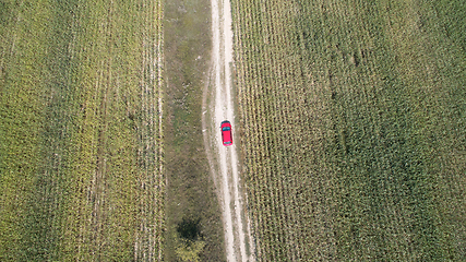 Image showing Car drives on the road between two big fields with green wheat. Agriculture landscape.