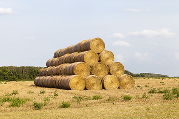 Image showing stack of straw