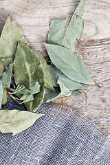 Image showing green dry leaves