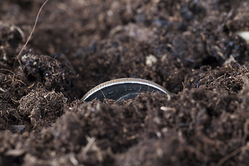 Image showing coin soil american