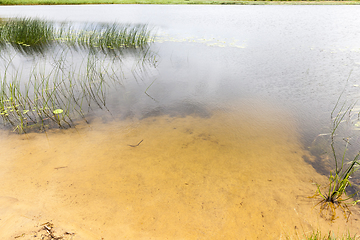 Image showing shore lake water
