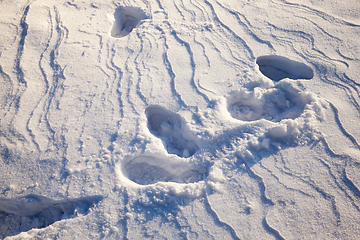 Image showing drifts in winter