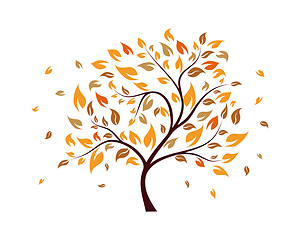 Image showing Autumn tree 