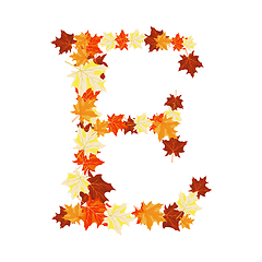 Image showing Autumn Maples Leaves Letter