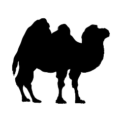 Image showing Camel Silhouette