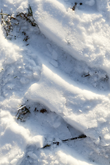 Image showing Snow after snowfall