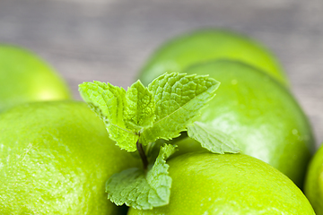 Image showing green lime and mint