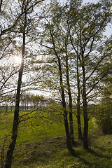 Image showing sunset road