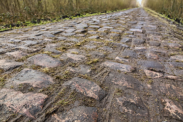 Image showing Pave d'Arenberg