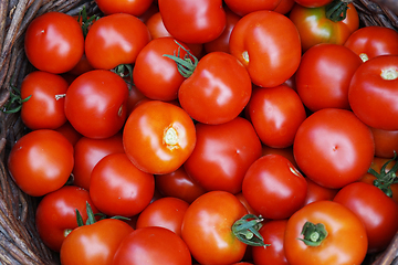 Image showing fresh tomatoes texture