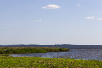 Image showing deep lake with grass