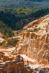 Image showing Ankarokaroka canyon in Ankarafantsika, Madagascar