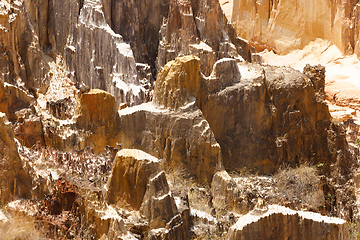 Image showing Ankarokaroka canyon in Ankarafantsika, Madagascar