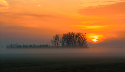 Image showing Sunrise landscape of Hortobagy landscape