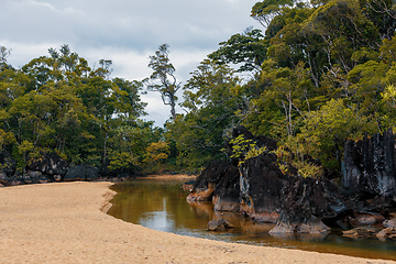 Image showing Masoala National Park, Madagascar