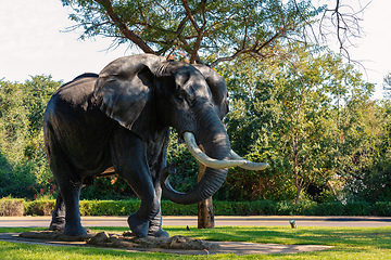 Image showing Elephant statue Sun City, Lost City in South Africa