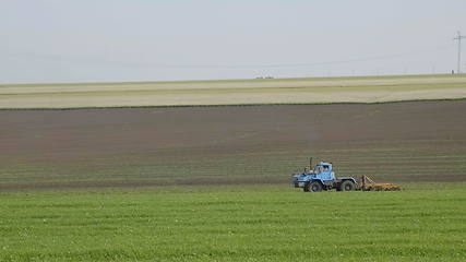 Image showing Blue wheeled tractor plowing a green field