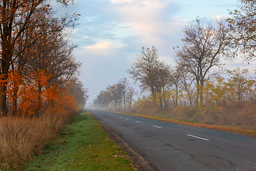 Image showing misty roan in Hungarian puszta