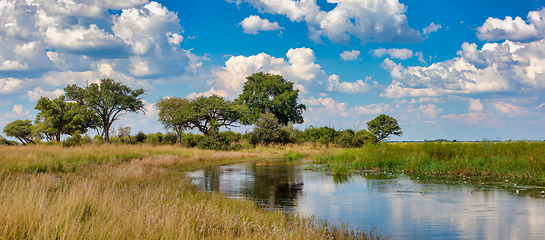 Image showing typical African landscape, Bwabwata, Namibia