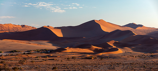 Image showing Dead Vlei landscape in Sossusvlei, Namibia