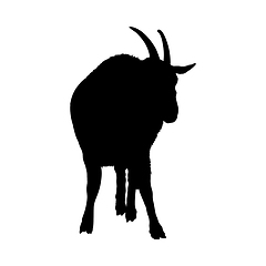 Image showing Goat Silhouette