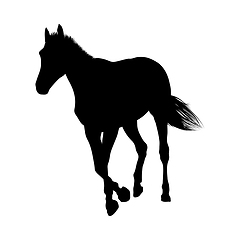 Image showing Horse Silhouette