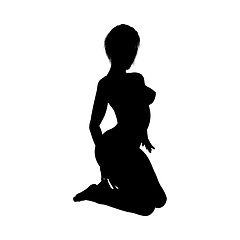 Image showing Naked sexy girls silhouette