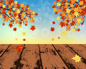 Image showing Fall (Autumn) Background 