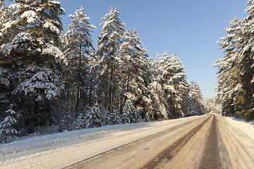 Image showing Trees in winter ,