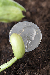 Image showing American coin