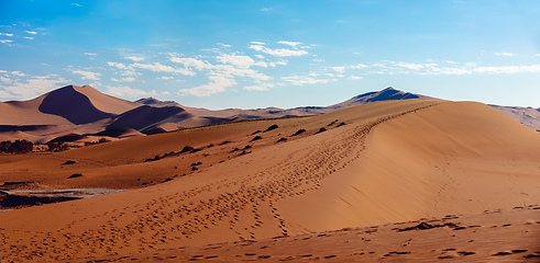 Image showing Dead Vlei landscape in Sossusvlei, Namibia