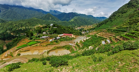 Image showing Rice field terraces. Near Sapa, Vietnam