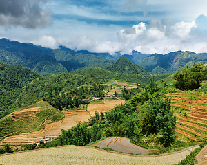 Image showing Rice field terraces. Near Sapa, Vietnam