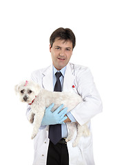 Image showing Vet carries a dog needing veterinary care