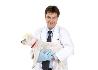 Image showing Vet carrying a pet dog