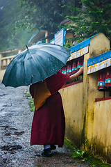 Image showing Buddhist monk with umbrella in McLeod Ganj