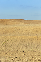 Image showing arable land soil