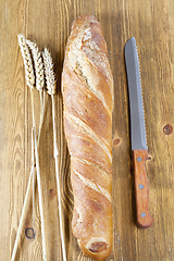 Image showing one fresh bread