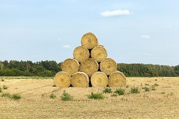 Image showing cylindrical stack of straw