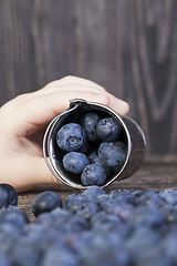 Image showing blue large blueberries