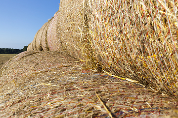 Image showing cylindrical stacks