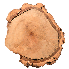 Image showing Wood log slice