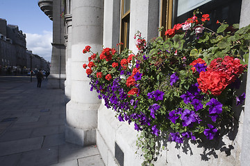 Image showing Flowers and granite