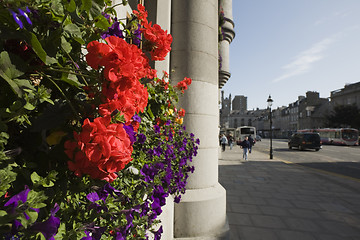 Image showing Flowers and granite