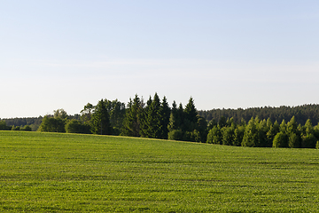 Image showing agricultural field