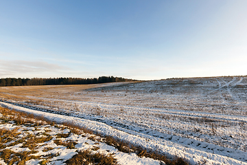 Image showing snow-covered land in the field